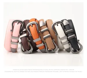 Detailed row of slim leather belts with vintage silver buckles in six vibrant colors