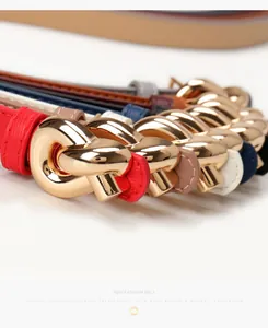 Macro detail of multicolored thin leather belts with elegant golden knot buckles