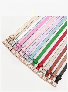 Presentación plana de cinturones finos de cuero en doce colores con hebillas doradas
