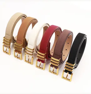 Detail view of 6-color suede skinny belts with golden pin buckles and elegant texture