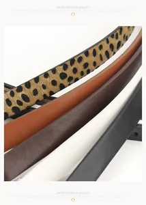Detail view of leopard print and solid PU leather skinny belts with metal pin buckles