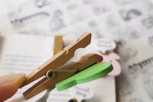Set of 4 Japanese style cute cat and frog wooden fridge magnet clips for photos