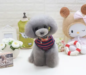 Puppy in red and blue striped cotton T-shirt with orange leather heart collar