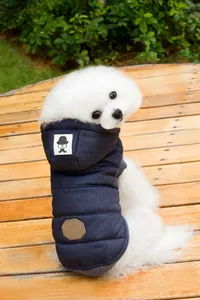 Close-up of a blue quilted dog vest featuring a hooded design and decorative brand patches