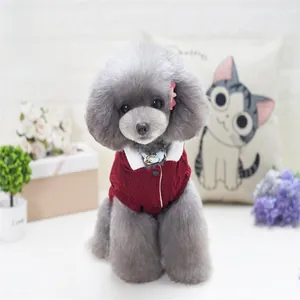 Detail of red knit dog sweater with white collar and buttons for small pets
