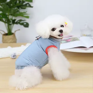 Quilted light blue pet vest with red trim on a white toy poodle in a cozy home setting
