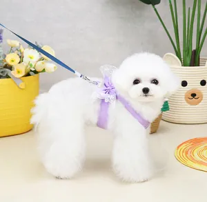 Pettorina viola per cani con fiocco e pizzo, completa di guinzaglio blu scuro