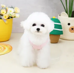 Pettorina rosa per cani di piccola taglia con farfalla indossata da un cane Bichon