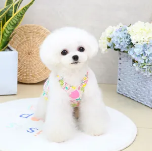 Blumiges Haustierkleid mit Spitzen-Laternenrock an einem weißen Bichon Frisé