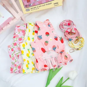 Ensemble de robes pour animaux aux motifs de fraise, ananas et pêche avec laisses