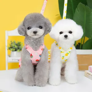 Robes d'été pour animaux avec motifs fraise et ananas pour petits chiens et chats