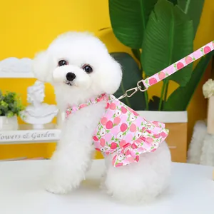 Détail du harnais robe et laisse à motif pêche rose pour petit chien blanc Bichon