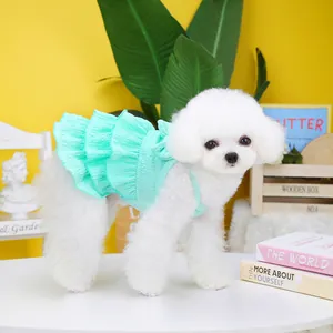 Close-up of a white Bichon wearing a light green ruffled tiered pet dress in a bright setting