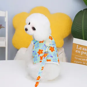 Arnés y correa para mascotas con flores verde menta en un perro Bichón blanco