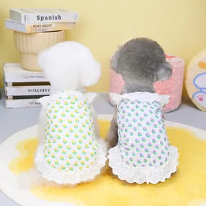Floral pet dresses with white lace trim on small dogs in a cozy home setting