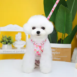 Harnais et laisse rose avec imprimé de fruits pour petits chiens, style gilet assorti