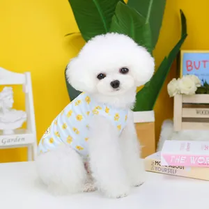 Blue pet vest with yellow bear print on a white dog in a vibrant indoor setting