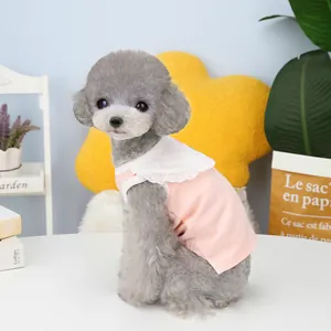 Gilet d'été rose pour animaux avec col en dentelle blanche sur un caniche gris au salon