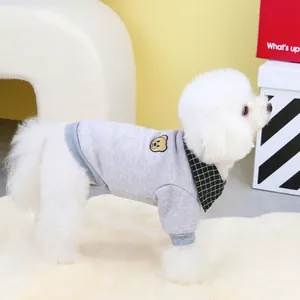 Grey dog sweater with bear embroidery and plaid bandana on a white Bichon Frise