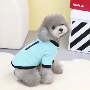 Light blue padded pet vest with zipper and black trim on a grey poodle