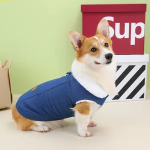 Denim pet vest with fleece collar for Corgi dogs and cats in a minimalist studio setting