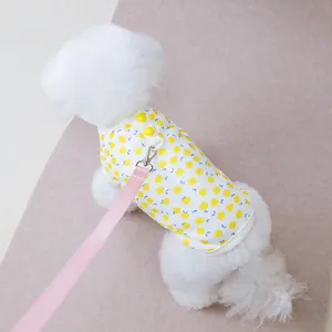 Harnais pour chien à motif citron jaune avec laisse en nylon rose assortie