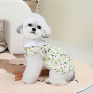 Détail de la robe à fleurs pour animaux avec col Claudine sur un chien blanc