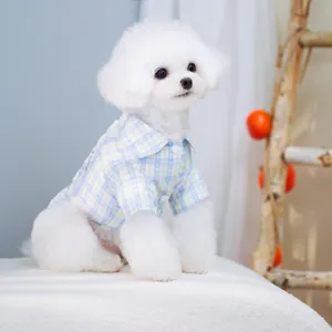 Dettaglio di un piccolo cane bianco che indossa una camicia a scacchi blu chiaro
