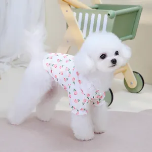 Detail of pet shirt with pink fruit print, white lace collar and ruffled edges