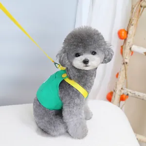 Close-up of green canvas pet harness with yellow leash on a small grey poodle