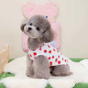 Close-up of white pet tank top with red strawberry print on a grey poodle dog