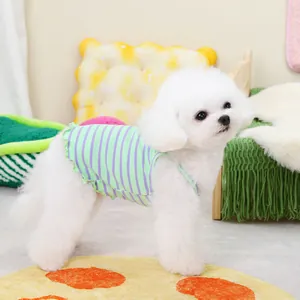 Close-up of small white dog wearing a light green striped knit vest with ruffled edges