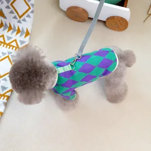 Purple and green argyle pet knit sweater with leash ring on grey poodle model