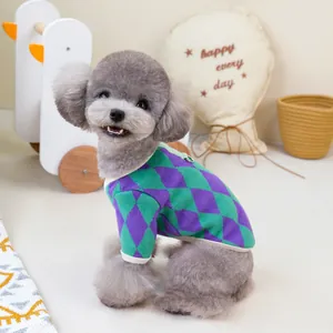 Detailed view of grey poodle wearing green and purple argyle knit sweater with rib trim