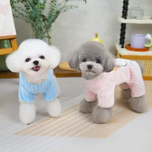 Maglioni in velluto blu e rosa per piccoli cani e gatti in un ambiente domestico
