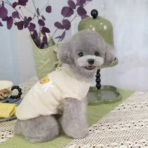 Dettaglio del gilet in maglia color crema per animali con stampa di orsetto cartone