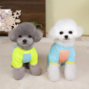 T-shirts de sport respirants à séchage rapide pour petits chiens aux couleurs néon