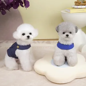 Charmante kleine Hunde in Denim- und blauer Haustierkleidung auf Blumenkissen