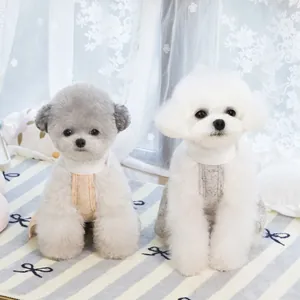 Adorabili abiti floreali e in maglia per piccoli cani e gatti in un ambiente domestico