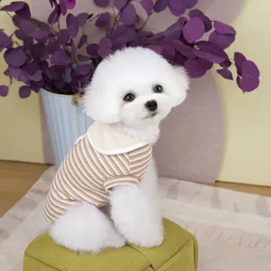 Brown and white striped pet T-shirt with a cream collar worn by a small white dog