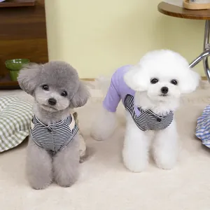 Caniches con chalecos de rayas y monos para mascotas en un ambiente interior acogedor