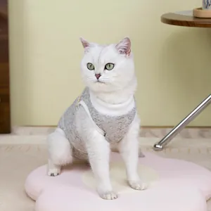 Grey knit cat recovery suit with white ribbed edges on white British Shorthair