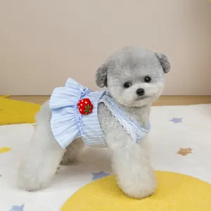 Detail of blue striped pet dress with red strawberry decor and white lace edges