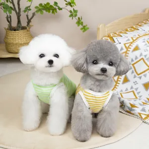 Cute striped pet vest in green and yellow for small dogs and cats in a cozy home setting