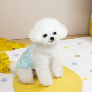 Hellblau gestreifte Hundeweste aus Baumwolle an einem weißen Bichon auf gelbem Kissen