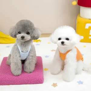 Gilets tricotés pour chiens en bleu et orange portés dans un intérieur douillet
