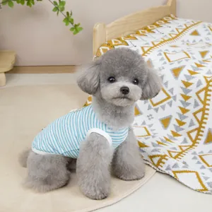 Close-up of small dog wearing a light blue and white striped summer vest on a beige rug