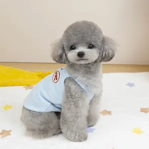 Détail du gilet côtelé bleu clair pour animal avec écusson Vintage 1982 sur caniche
