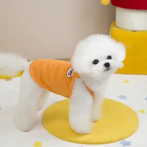 Gros plan du gilet en tricot rayé orange pour animal avec écusson vintage sur un chien