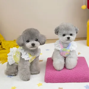 Lace yellow plaid pet dress and colorful striped harness for small dogs and cats